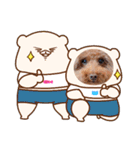 クー太の日常②（個別スタンプ：5）