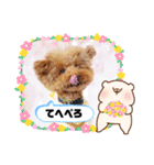クー太の日常②（個別スタンプ：6）