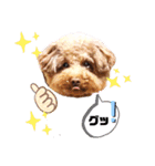クー太の日常②（個別スタンプ：15）