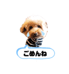 クー太の日常②（個別スタンプ：20）