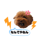 クー太の日常②（個別スタンプ：21）