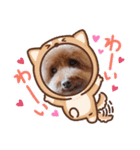 クー太の日常②（個別スタンプ：23）