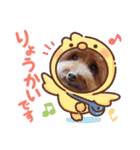 クー太の日常②（個別スタンプ：24）