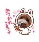 クー太の日常②（個別スタンプ：25）