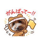 クー太の日常②（個別スタンプ：26）