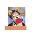 いわゆうスタンプ1（個別スタンプ：5）