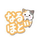 大きく選びやすい☆お茶目な三毛猫（個別スタンプ：14）