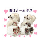姫ファミリー part3（個別スタンプ：3）