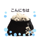 姫ファミリー part3（個別スタンプ：9）