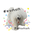 姫ファミリー part3（個別スタンプ：19）
