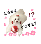 姫ファミリー part3（個別スタンプ：26）