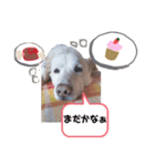 愛しのレオ（個別スタンプ：5）