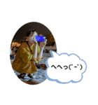 週末の会,vol.1（個別スタンプ：14）