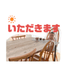 genchan_stamp3（個別スタンプ：13）