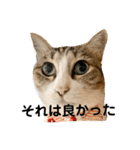 花と琥珀と実々（個別スタンプ：7）