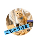 花と琥珀と実々（個別スタンプ：14）
