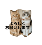 花と琥珀と実々（個別スタンプ：16）