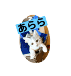 花と琥珀と実々（個別スタンプ：17）