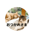 花と琥珀と実々（個別スタンプ：24）