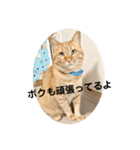 花と琥珀と実々（個別スタンプ：34）