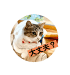 花と琥珀と実々（個別スタンプ：35）
