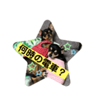 スムースチワワのレモンとハニー8（個別スタンプ：3）