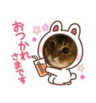 可愛い❤️可愛い❤️モコちゃん❤️（個別スタンプ：3）