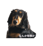 ららの『 なに？』（個別スタンプ：2）