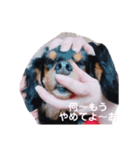 ららの『 なに？』（個別スタンプ：4）