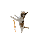 やる気のない三毛猫むぎ（個別スタンプ：6）
