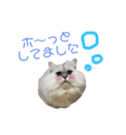 むむむむむーさん（個別スタンプ：1）