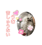 むむむむむーさん（個別スタンプ：2）