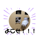 むむむむむーさん（個別スタンプ：5）
