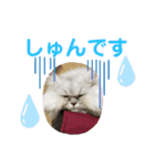 むむむむむーさん（個別スタンプ：9）