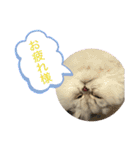 むむむむむーさん（個別スタンプ：10）