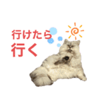 むむむむむーさん（個別スタンプ：11）