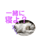 むむむむむーさん（個別スタンプ：13）