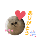 むむむむむーさん（個別スタンプ：15）