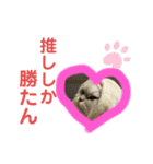 むむむむむーさん（個別スタンプ：24）