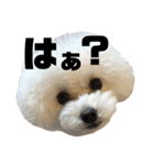 モネリム3（個別スタンプ：2）