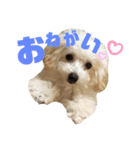 モネリム3（個別スタンプ：4）