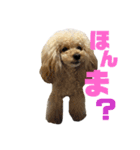 モネリム3（個別スタンプ：5）