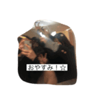 ヤリラフィー（陰）（個別スタンプ：7）