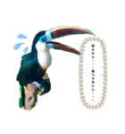 my zoo 01（個別スタンプ：9）