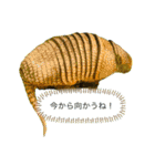my zoo 01（個別スタンプ：16）