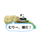 my zoo 01（個別スタンプ：18）