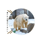 my zoo 01（個別スタンプ：22）