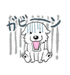 大きな白い犬 ピレネー犬 6【ダジャレ】（個別スタンプ：36）