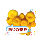 ひと言きのこ（個別スタンプ：3）