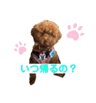 ちろりんのわくわくスタンプPart2（個別スタンプ：9）